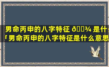 男命丙申的八字特征 🌾 是什么「男命丙申的八字特征是什么意思」